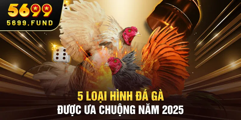 5 loại hình đá gà được ưa chuộng năm 2025